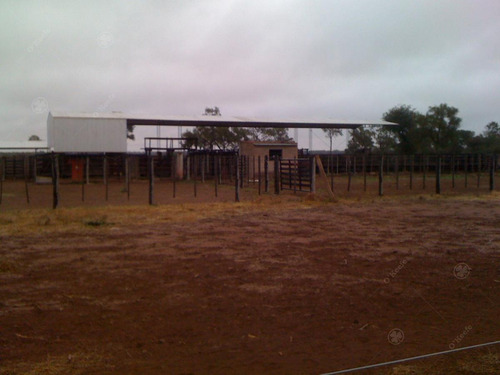 Imagen 5 de 13 de Excelentes Instalaciones Nuevas! Campo Totalmente Desarrollado