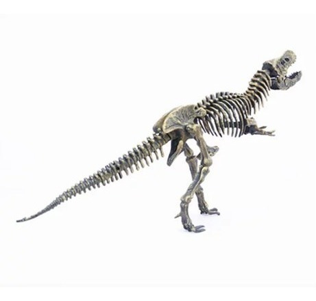 Dinosaurio Para Armar O Esqueleto | MercadoLibre 📦