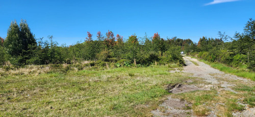 Vendo Cabaña Y Terreno Orilla Carretera Altura Calbuco