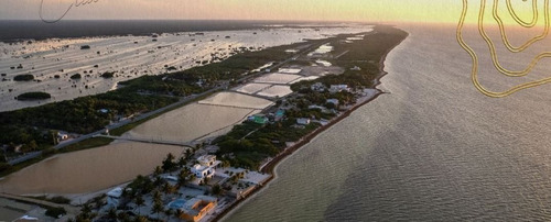 Imagen 9 de 12 de Terrenos En Venta En Santa Clara Yucatan