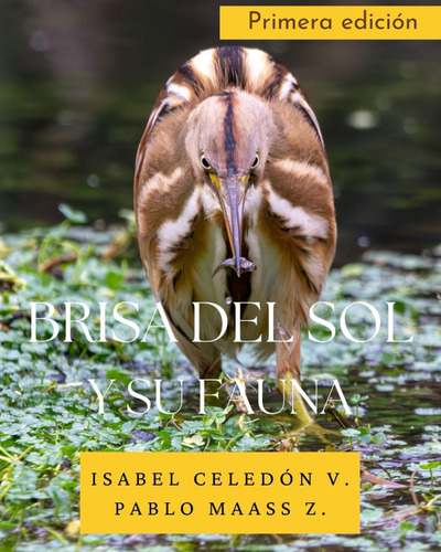 Libro: Brisa Del Sol Y Su Fauna (fauna Chilena) (spanish Edi