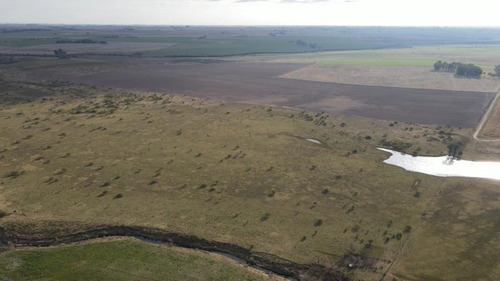 Imagen 11 de 12 de Campo De 144 Has Mixto (85 Has Agrícolas Y 59 Ganaderas) - Quebrachito
