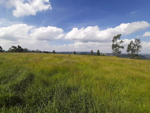 Imagem 8 de 11 de Excelente Terrenos Em São Roque Sp .. Oportunidade Única !!
