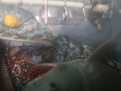 Jaws Mcfarlane Deluxe Box Set