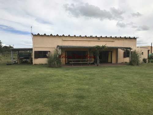 Imagen 5 de 30 de Venta De Chacra Sobre Ruta 9 A 30 Km De Jose Ignacio