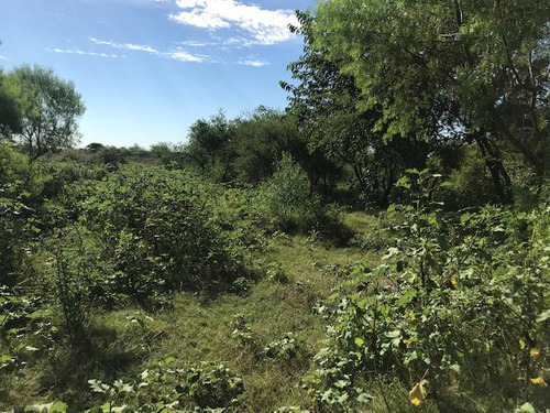 Terreno - Villa Soriano