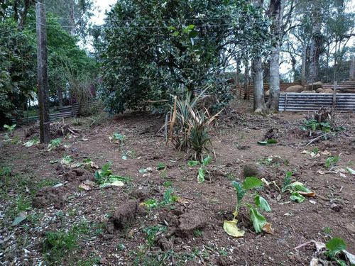 Imagem 10 de 15 de Sítio / Chácara Para Venda Em São José Dos Pinhais, Área Rural De São José Dos Pinhais, 2 Dormitórios, 1 Banheiro - 108_2-1240645