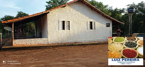 Imagem 7 de 15 de Fazenda À Venda Em Figueirópolis - To - De 114 Alqueirões (dupla Aptidão) - 1672
