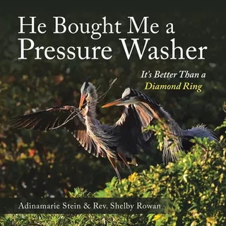 Libro He Bought Me A Pressure Washer: It's Better Than A ...