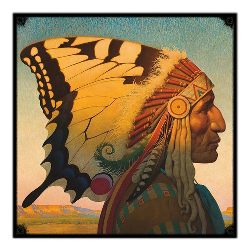 #447 - Cuadro Vintage 30 X 30 - Indio Mariposa Poster Retro