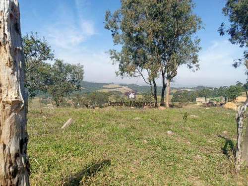 Imagem 4 de 6 de Terreno À Venda, 2500 M² Por R$ 74.200,00 - Aparecidinha - Araçariguama/sp - Te0837