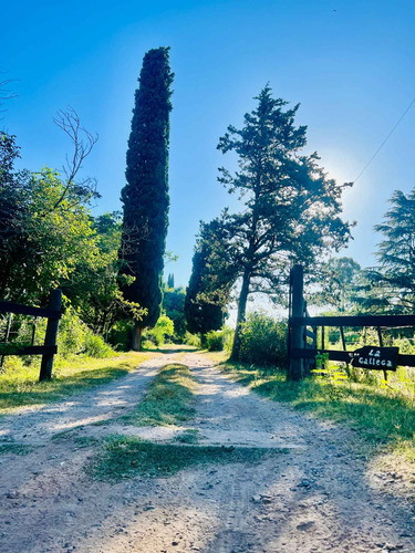 Venta Campo 7 Hectáreas El Cazador, Escobar