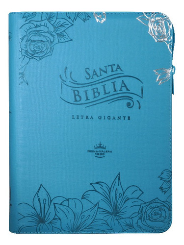 Biblia Rvr1960 Letra Gigante Azul Rvr086cztilgipjr