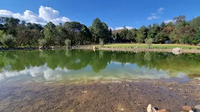 Rancho en venta