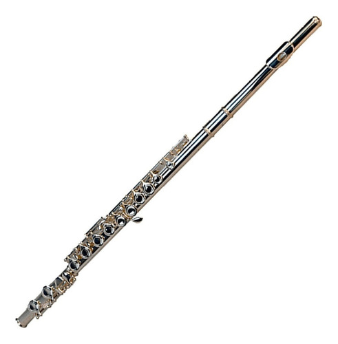 Flauta Transversal Plata Silvertone Slft001 Incluye Estuche Color Nickel