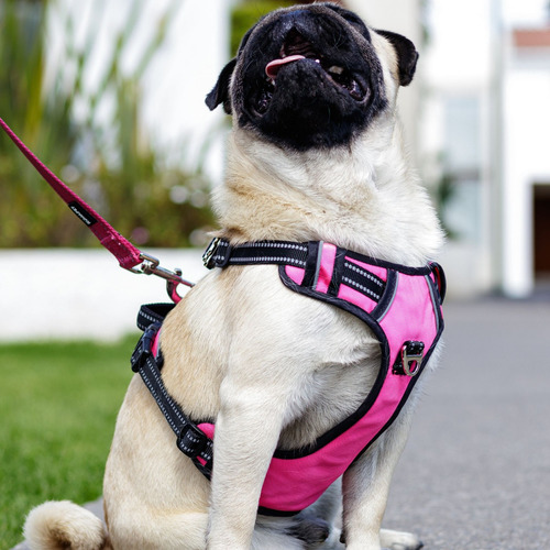 Arnés Antitirones Perro Chico Mediano Grande Pechera Comoda Rosa Grande Rumapet