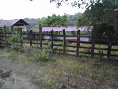 Imagen 5 de 11 de Venta De Rancho En Ciudad Valles, San Luis Posoti