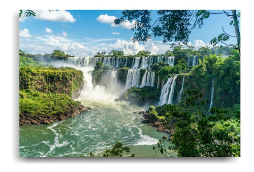 Cuadros Cataratas Del Iguazu - Vinilo Y Mdf - 45cm X 30cm