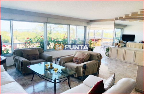 Imagen 2 de 19 de Apartamento En Alquiler Anual