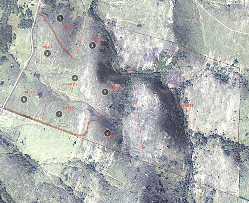 Campo 86 Has 6937 M2 En La Cañas