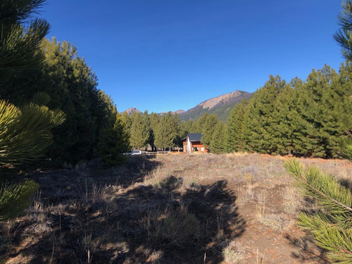 Imagen 9 de 9 de Venta Lote Meliquina Mza C' A 2 Cuadras Del Lago