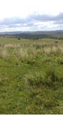 Campo En Venta En Lavalleja, 15 Hectáreas