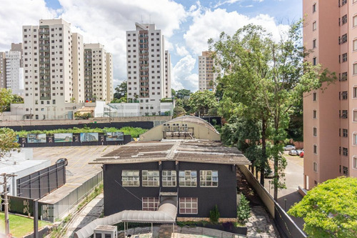 Imagem 12 de 15 de Apartamento Para Aluguel - Jardim Éster Yolanda, 3 Quartos, 64 - 893016528