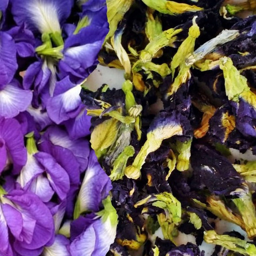 500g Flor Fada Azul C Ternatea - Chá Azul - Produção Própria