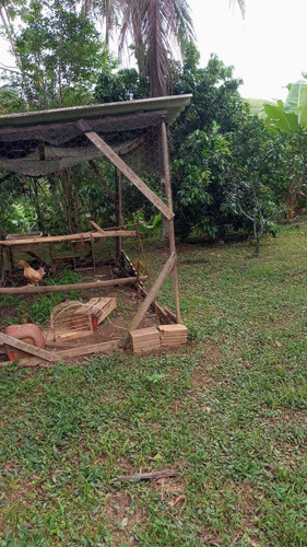 Imagem 5 de 14 de Chácara À Venda Com 7000 M² De Terreno Em Cajati. 1194 M H