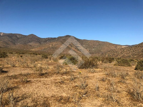 Agrícola En Venta En Andacollo