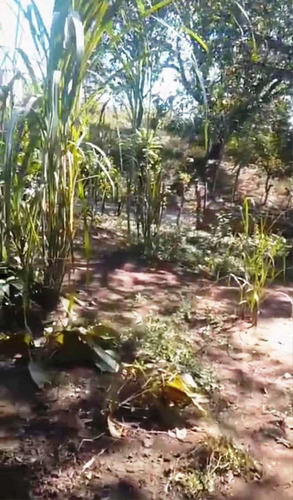 Imagen 5 de 11 de Venta Parcela 30.000mts2 Sector La Aguadita, San Carlos