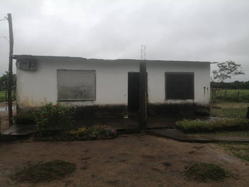 Imagen 2 de 17 de De Oportunidad Vendo Finca En El Cantón 283 Hectáreas Ah