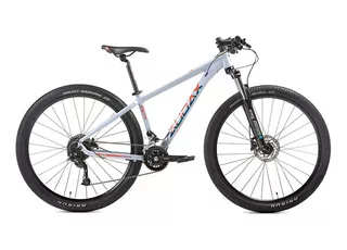 Bicicleta Audax Adx 100 - 2021