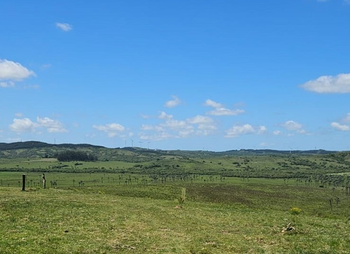 Rocha 277 Has Buen Campo Ganadero Forestal Costa De Arroyo Sobre Camino Vecinal A 10 Km Ruta 9