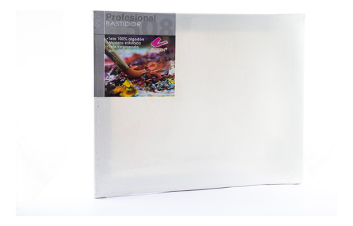 Bastidor Profesional T508 35 Cm X 45 Cm Rodin