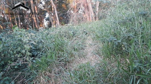 Imagem 4 de 15 de Terreno Com 6354m2 Na Granja Viana Em Cotia - 271