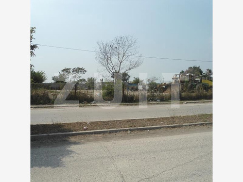 Imagen 4 de 4 de Terreno En Venta El Ejido