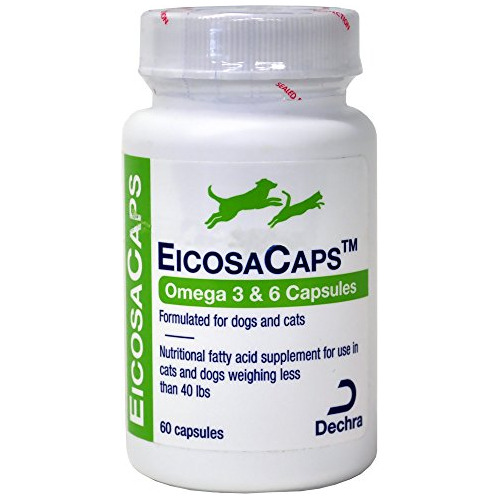 Dechra Eicosacaps Omega 3 Amp; 6 Cápsulas Para Gatos 6xz6y