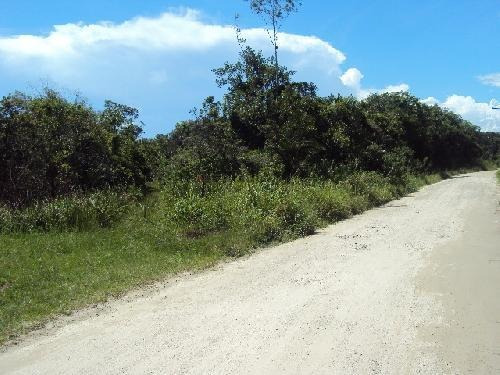 Imagem 2 de 3 de Chácara Litoral Sul Lado Morro 5km Rodovia Ref.0225/dz