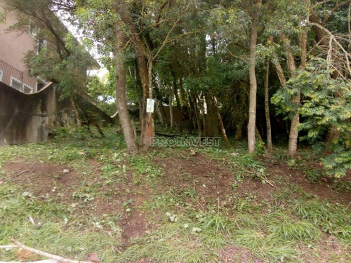 Terreno À Venda, 840 M² Por R$ 380.000,00 - Granja Viana - Carapicuíba/sp - Te9323