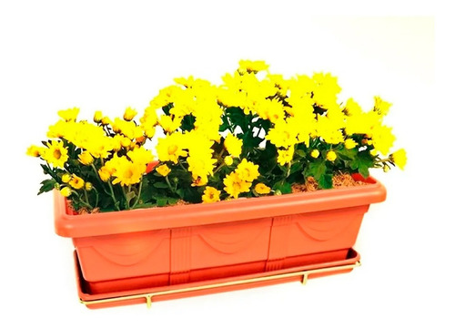 Imagem 4 de 5 de Suporte De Parede Para Jardineira 50cm Nutriplan Dourado