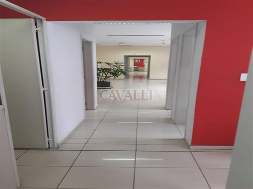 Imagem 8 de 21 de Excelente Comercial Com 550 Mts - 4806