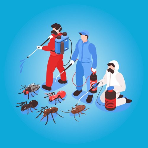 Imagem 2 de 5 de Serviço De Dedetização Para Rato, Barata, Formiga, Mosquito