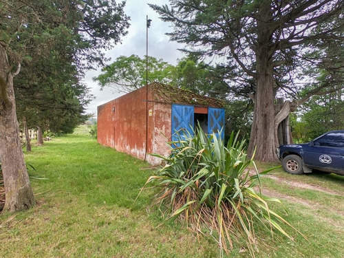 Chacra En La Pataia, Punta Ballena