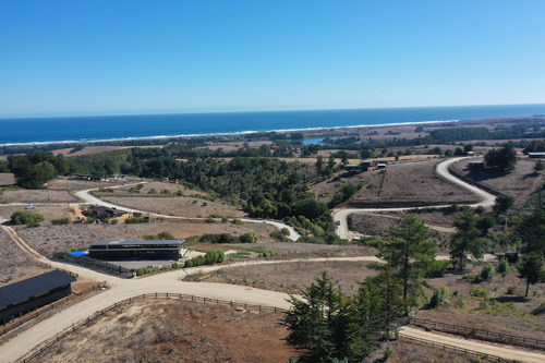 Mar Y Bosque Sobre Punta De Lobos