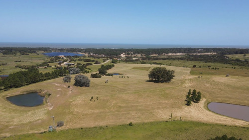 Imagen 22 de 30 de Chacra En Venta, Fraccion De 20 Has En Jose Ignacio (ref: Atm-6766)