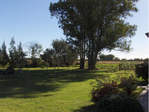Imagen 13 de 15 de Campo 9ha En Las Flores