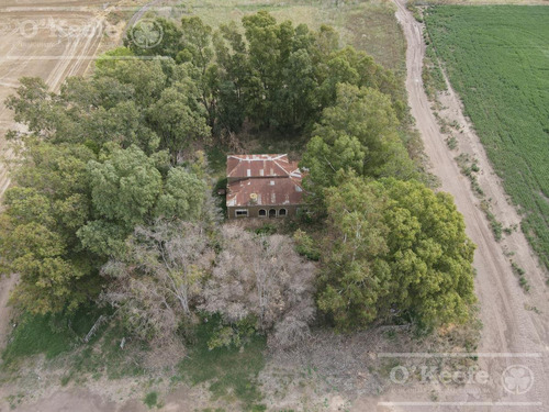 Imagen 5 de 16 de Campo 100% Agrícola - 1000 Has En General Lamadrid