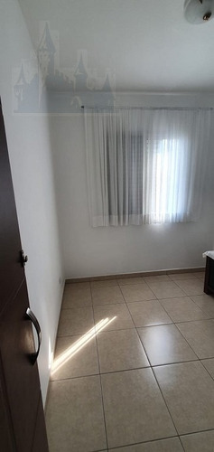 Imagem 11 de 25 de Apartamento Para Venda, 3 Dormitórios, Jardim Maria Estela - São Paulo - 12172