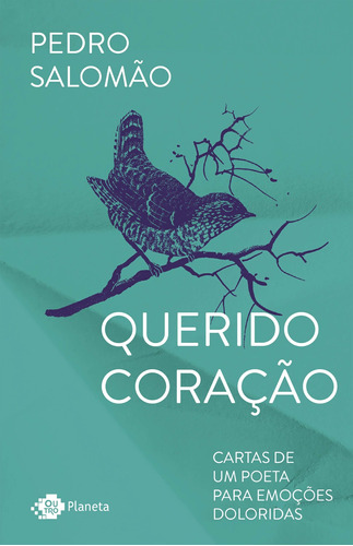 Querido Coração - Cartas De Um Poeta Para Emoções Doloridas